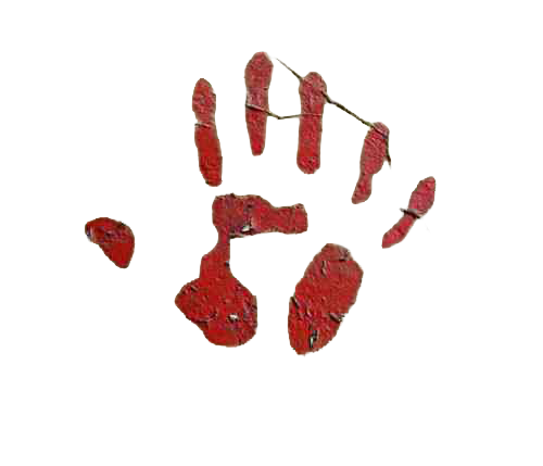 IDology – back in the game